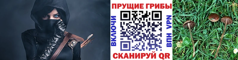 Галлюциногенные грибы мицелий даркнет сайт Верхний Тагил