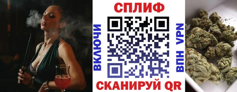 Канабис сатива  shop клад  Верхний Тагил 